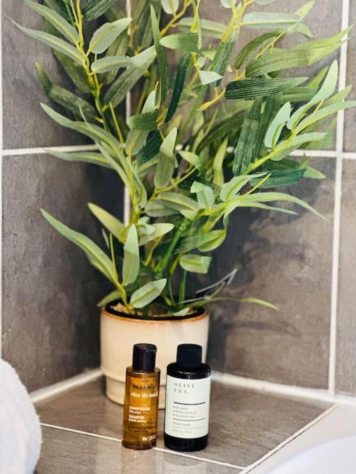 Maison Des Chenizelles Laon Ngoại thất bức ảnh